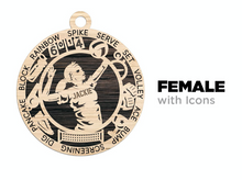 Load image into Gallery viewer, Stadium Series Ornament Volleyball