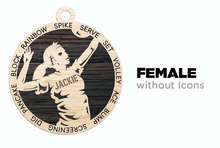 Load image into Gallery viewer, Stadium Series Ornament Volleyball