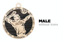 Load image into Gallery viewer, Stadium Series Ornament Volleyball