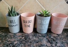 Load image into Gallery viewer, Succulent/Tiny Plant Holder
